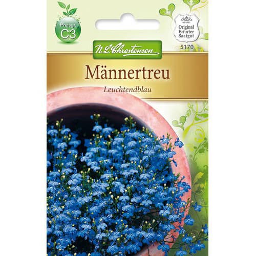 Lobélia Leuchtendblau obrázok 1 artikel 78918