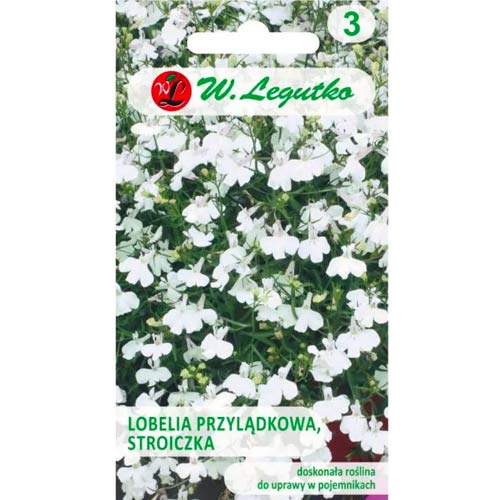 Lobelka modrá (Lobelka drobná) biela obrázok 1 artikel 78571