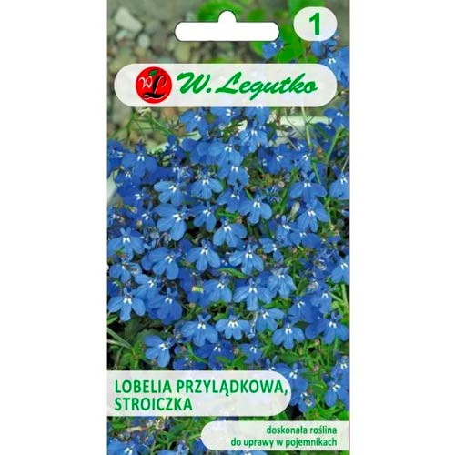 Lobelka modrá (Lobelka drobná) modrá obrázok 1 artikel 78573