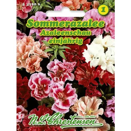 Lokanka mnohokvetá (Azalka letná), zmes obrázok 1 artikel 96424