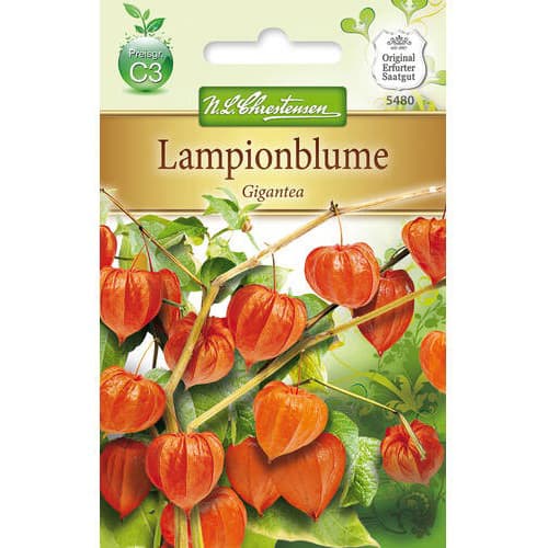 Machovka Gigantea obrázok 1 artikel 78976