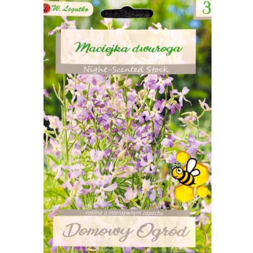 Maciejka dvojrohá ružová levanduľa obrázok 1 artikel 78578