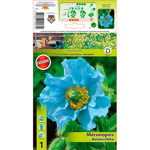 Mak Himalájsky modrý obrázok 1 artikel 76586