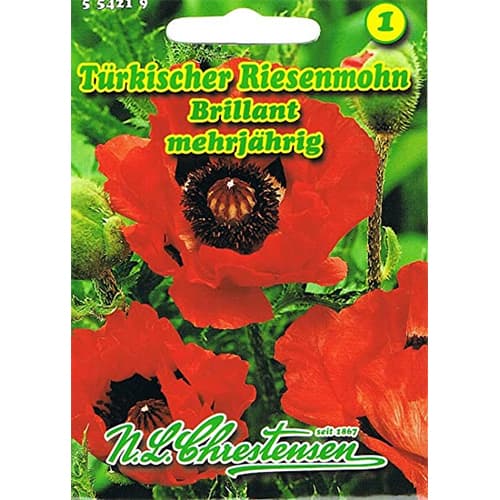 Mak orientálny Brillant obrázok 1 artikel 78831