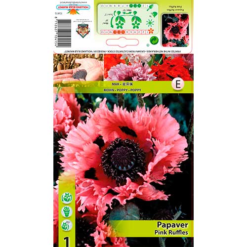 Mak Pink Ruffles artikel fotografia 1 Mak Pink Ruffles obrázok 1 artikel 76342