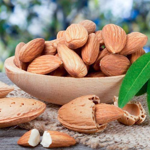 Mandľovník Ferragnes obrázok 2 artikel 7949