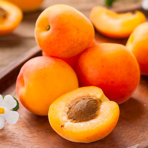 Marhuľa South Sea, С2 obrázok 1 artikel 1626