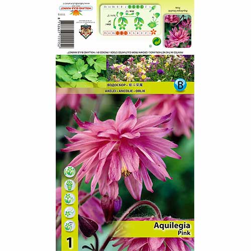 Maslák (Aquilegia) Pink obrázok 1 artikel 70345