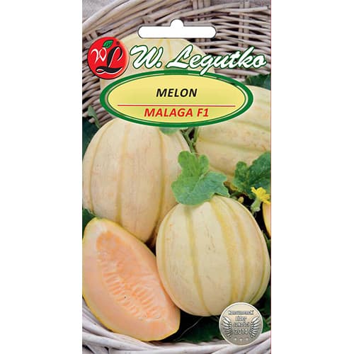 Melón Malaga F1 artikel fotografia 1 Melón Malaga F1 obrázok 1 artikel 86855