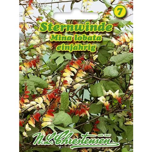 Mina laločnatá obrázok 1 artikel 96440