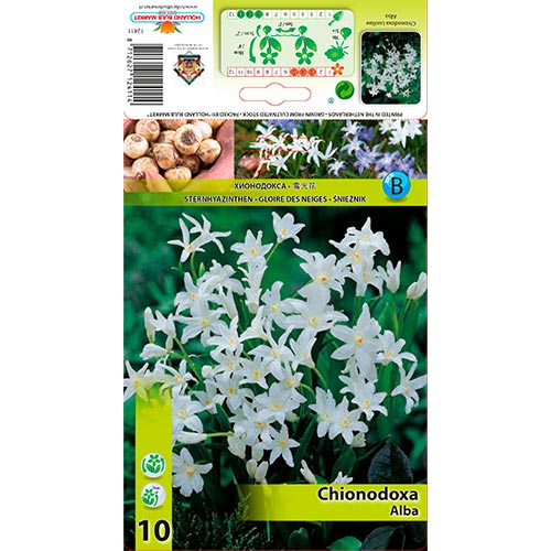 Modravka Alba artikel fotografia 1 Modravka Alba obrázok 1 artikel 67319
