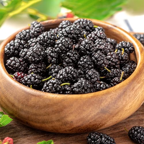 Moruša Čierny princ, P9 obrázok 1 artikel 5859