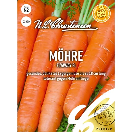 Mrkva Flyaway F1 artikel fotografia 1 Mrkva Flyaway F1 obrázok 1 artikel 86067