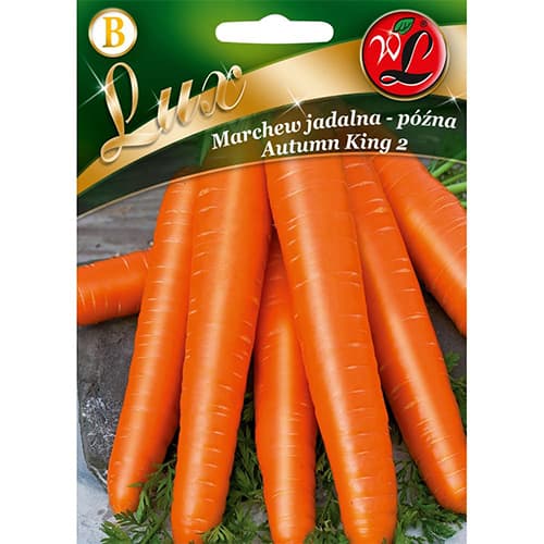 Mrkva neskorá Autumn King 2 obrázok 1 artikel 78675