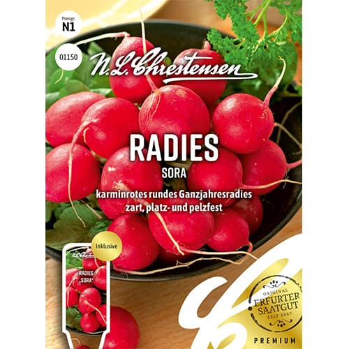 Mrkva Rotin, semená na páske artikel fotografia 1 Mrkva Rotin, semená na páske obrázok 1 artikel 78736