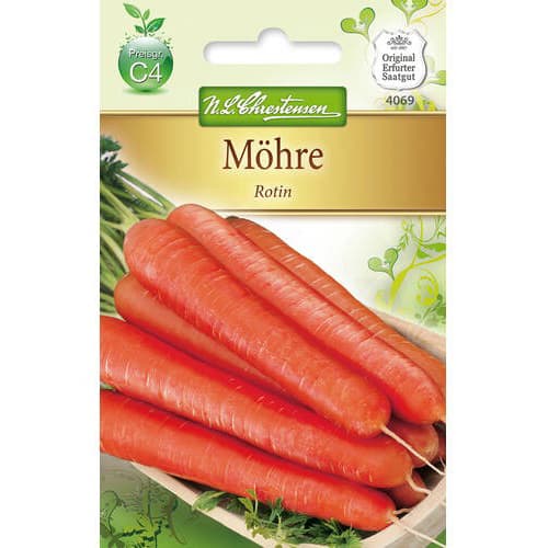 Mrkva Rotin artikel fotografia 1 Mrkva Rotin obrázok 1 artikel 78735