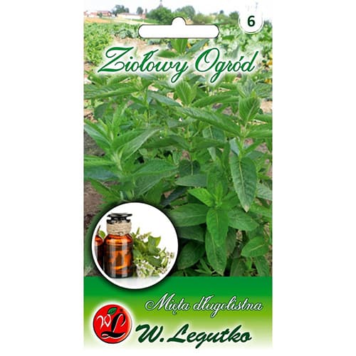 Mäta dlholistá obrázok 1 artikel 78707