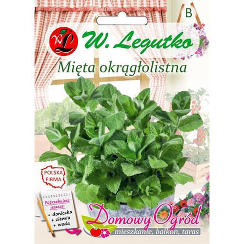 Mäta okrúhlolistá obrázok 1 artikel 69646