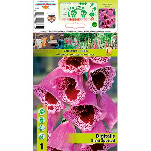 Náprstník Giant Spotted artikel fotografia 1 Náprstník Giant Spotted obrázok 1 artikel 70384