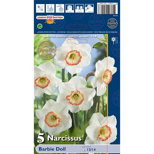 Narcis Barbie Doll obrázok 1 artikel 67639