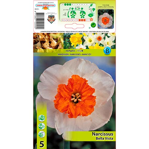 Narcis Bella Vista artikel fotografia 1 Narcis Bella Vista obrázok 1 artikel 67640