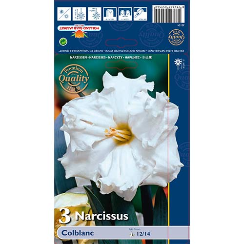 Narcis Colblanc artikel fotografia 1 Narcis Colblanc obrázok 1 artikel 67648