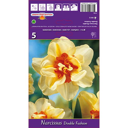 Narcis Double Fashion obrázok 1 artikel 67413
