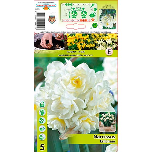 Narcis Erlicheer obrázok 1 artikel 70285