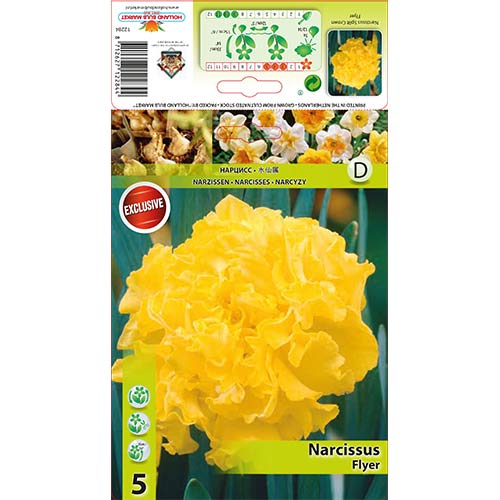Narcis Flyer artikel fotografia 1 Narcis Flyer obrázok 1 artikel 67433