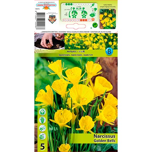 Narcis Golden Bells artikel fotografia 1 Narcis Golden Bells obrázok 1 artikel 68069