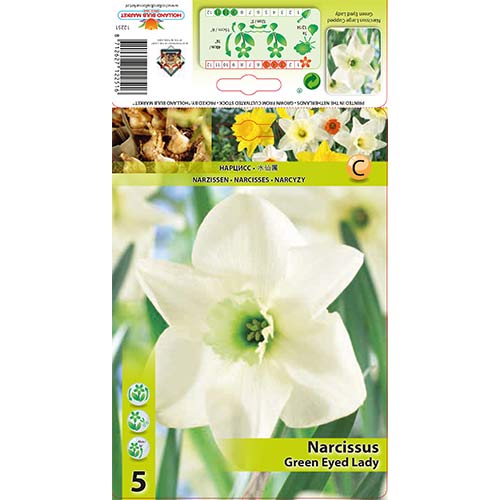 Narcis Green Eyed Lady artikel fotografia 1 Narcis Green Eyed Lady obrázok 1 artikel 67429