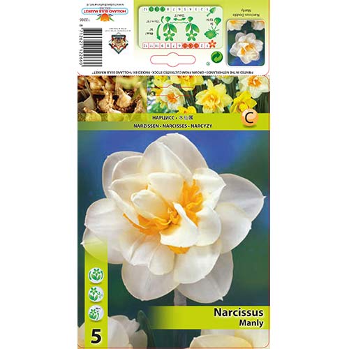 Narcis Manly artikel fotografia 1 Narcis Manly obrázok 1 artikel 68070
