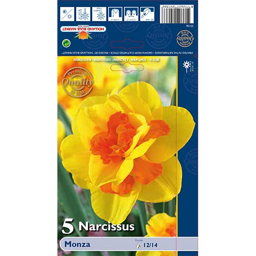 Narcis Monza artikel fotografia 1 Narcis Monza obrázok 1 artikel 70237
