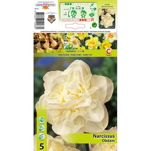 Narcis Obdam obrázok 1 artikel 70286
