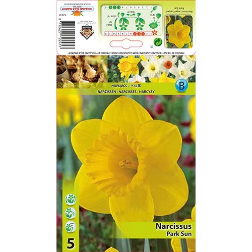 Narcis Park Sun artikel fotografia 1 Narcis Park Sun obrázok 1 artikel 67654