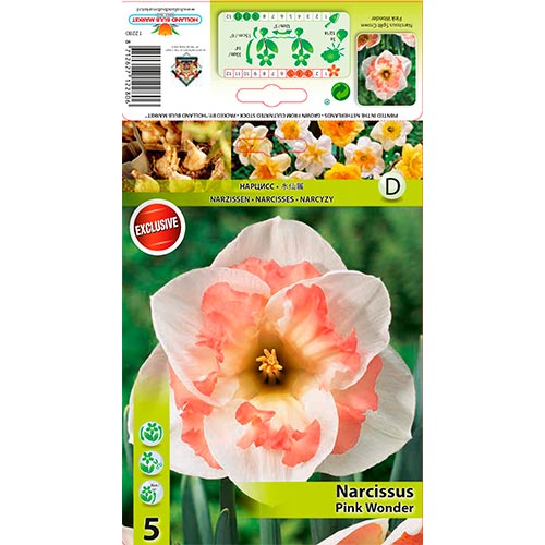 Narcis Pink Wonder obrázok 1 artikel 67434