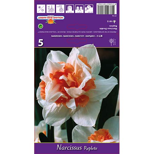 Narcis Replete artikel fotografia 1 Narcis Replete obrázok 1 artikel 68071