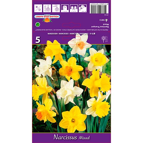 Narcis s veľkou korunou, mix artikel fotografia 1 Narcis s veľkou korunou, mix obrázok 1 artikel 67649