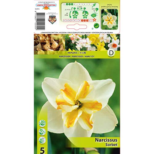 Narcis Sorbet obrázok 1 artikel 67430