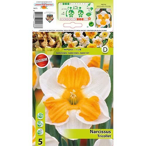 Narcis Tricollet artikel fotografia 1 Narcis Tricollet obrázok 1 artikel 67436