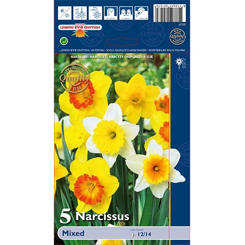 Narcis trubicovitý,mix obrázok 1 artikel 67665