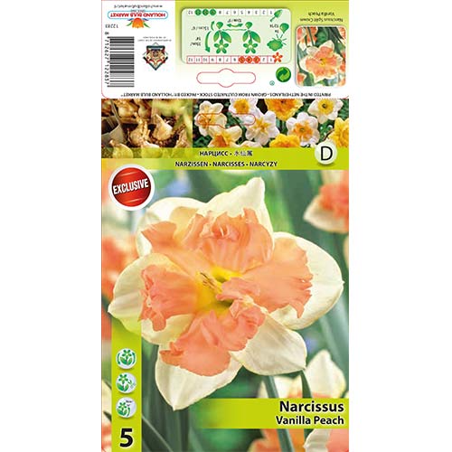 Narcis Vanilla Peach artikel fotografia 1 Narcis Vanilla Peach obrázok 1 artikel 67437
