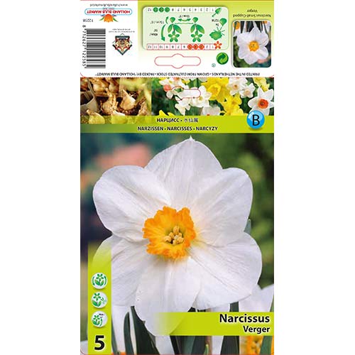 Narcis Verger artikel fotografia 1 Narcis Verger obrázok 1 artikel 70279