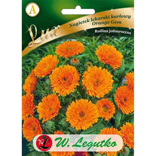 Nechtík lekársky Orange Gem obrázok 1 artikel 86749