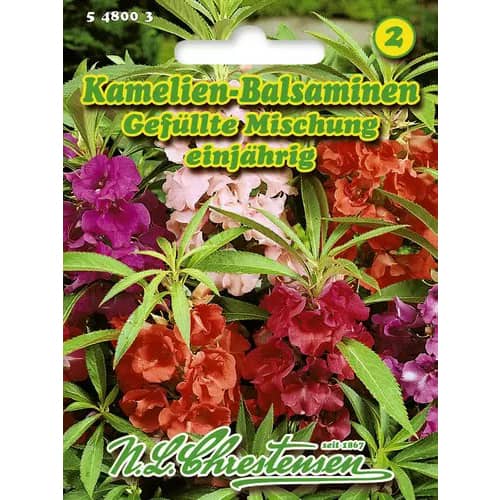 Netýkavka, zmes farieb artikel fotografia 1 Netýkavka, zmes farieb obrázok 1 artikel 96429