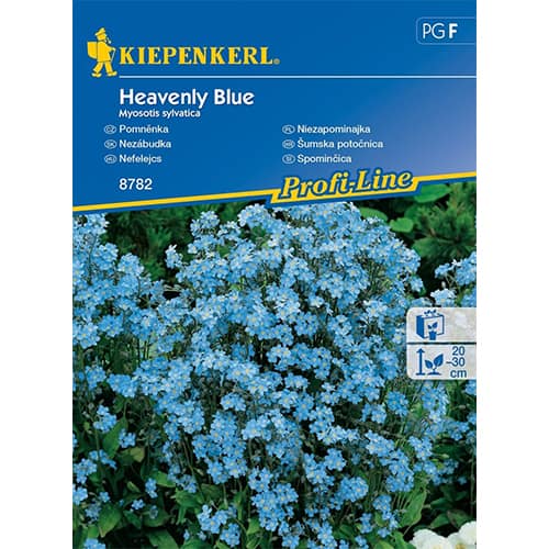Nezábudka Heavenly Blue obrázok 1 artikel 96561