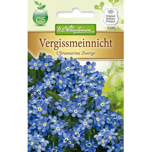 Nezábudka Ultramarine Zwerge obrázok 1 artikel 78959