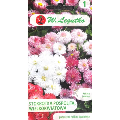 Obyčajná margaréta veľkokvetá, zmes obrázok 1 artikel 50122