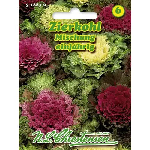 Okrasná kapusta, zmes obrázok 1 artikel 96404