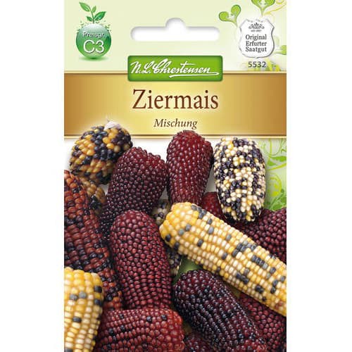 Okrasná kukurica, zmes obrázok 1 artikel 78981